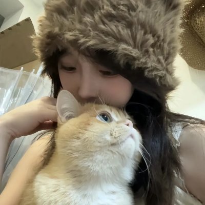紫禁秘录
